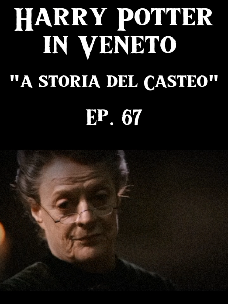 hai colto le citazioni? scrivilo nei commenti! #harrypotter #veneto #hogwarts #doppiaggio #venetocheck #parodia #harrypottertiktok #harrypotteredit #dialettoveneto #barbero #veneti 