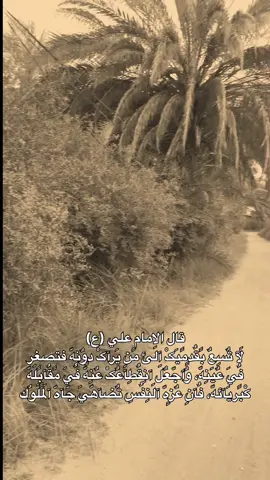 #شاركوا🤎👇  .  .  .  .  #العراق🇮🇶 #مشاهير_تيك_توك #اكسبلور #متابعه 