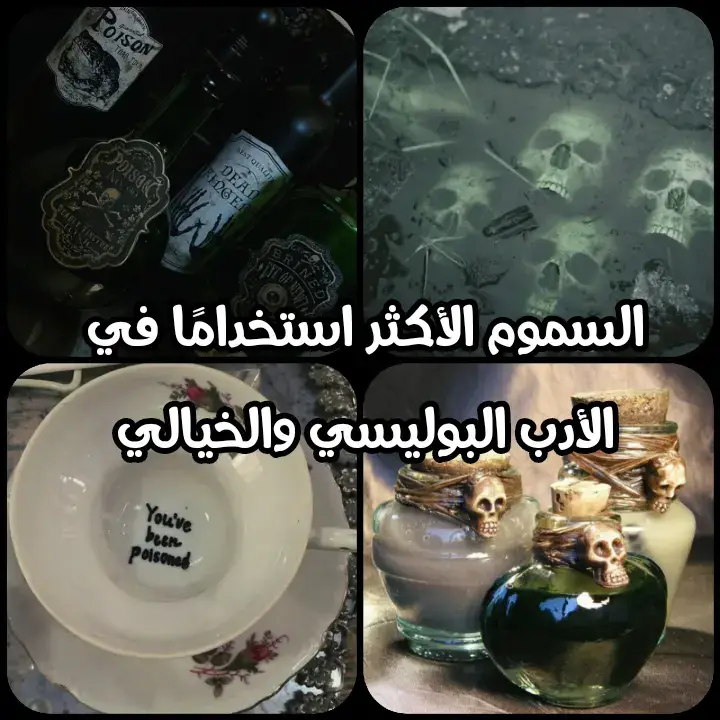 #كتابة #فانتازيا  #راكونة_الكتب #روايات #أدب 