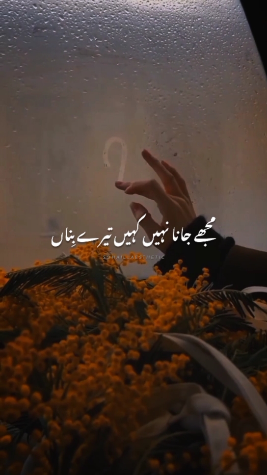 Tera Hi Saath Maang Na..😭🫶🏻✨♥️!!#myvideo #official #repost #aesthetic #viral #foryoupage #tiktok #unfreezemyacount #fypシ゚ #trending #urdu #fyp #tiktokpakistan #urdusong #standwithkashmir #@TiktokPakistanOfficial 