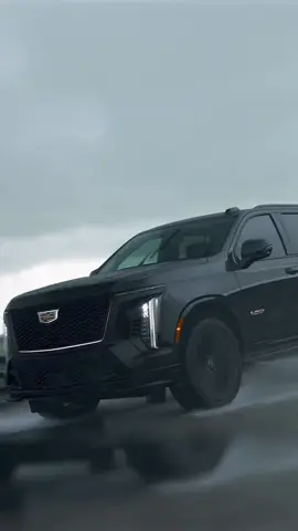 Need a ride? This is how your chauffeur needs to pull up! #cars #chauffeur #luxurylifestyle #cadillac #carsoftiktok 