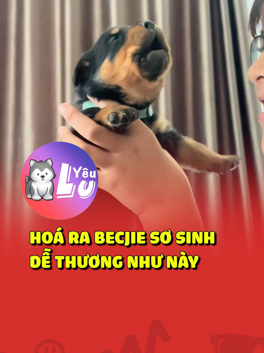 Hóa ra Becjie sơ sinh dễ thương như này 😂 #shorts #yeulu
