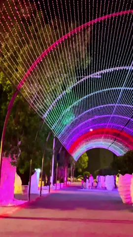 #lahorememories2025  #foryoupage❤️❤️ #viralvideo☺️