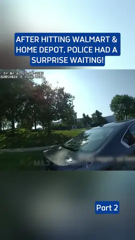 #cops #copsoftiktok 