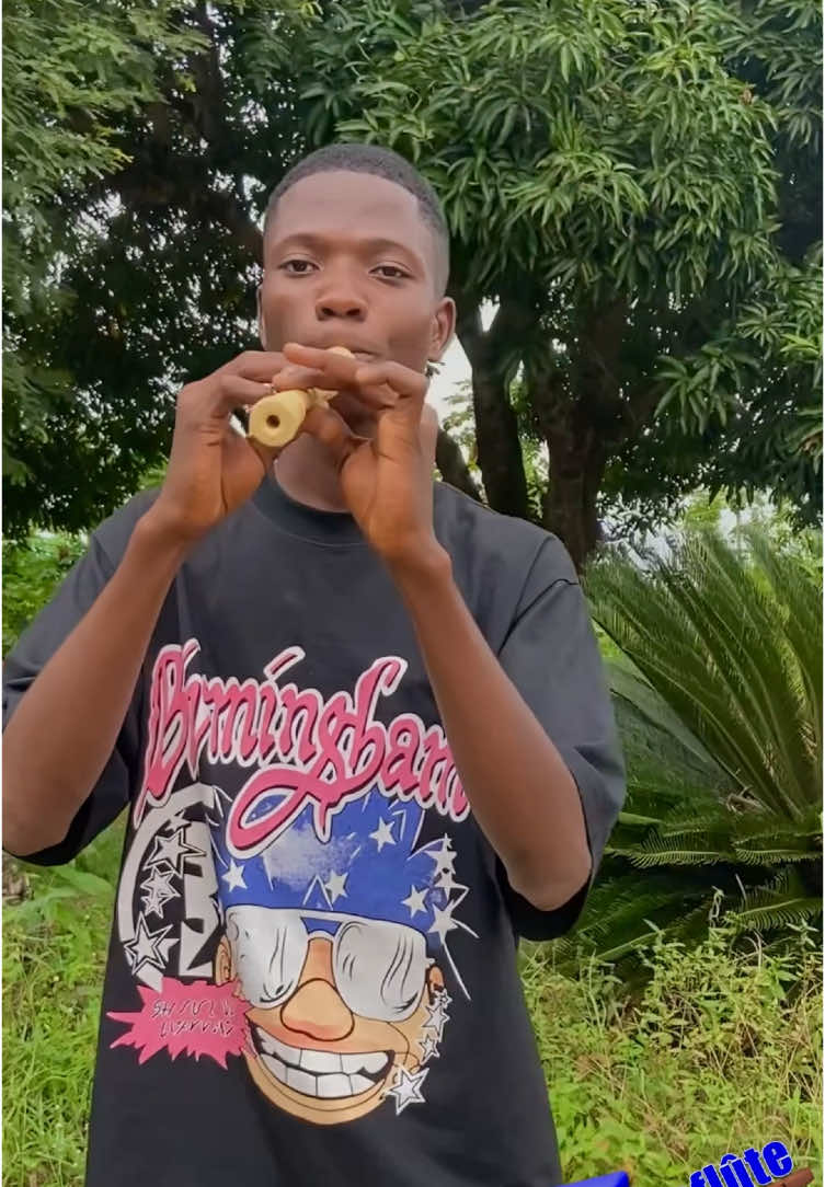 @SenaNoble-music👑🎧✨  bla bla bla remix flûte 🪈  #ansflûte  #benintiktok🇧🇯 