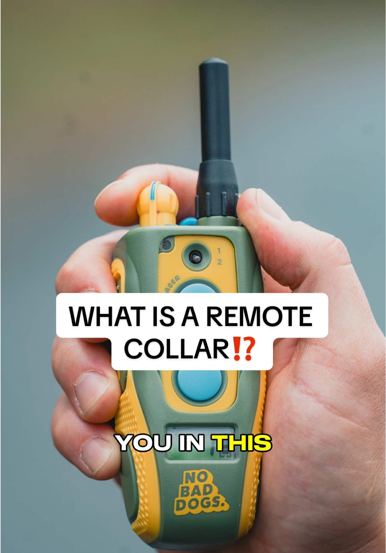 Remote collar = communication, not punishment 🎯 It’s like a seatbelt for training safety + clarity.  #DogTraining #RemoteCollar #NoBadDogs #dogsoftiktok #doglover 