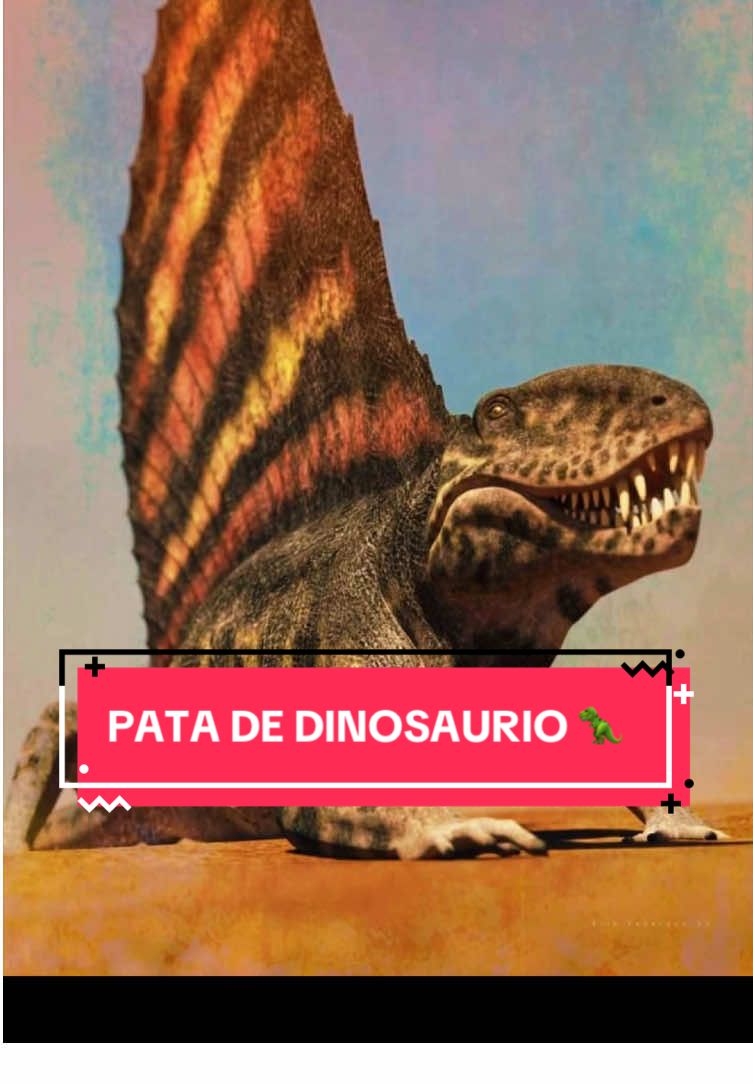 Pata de dinosaurio 🦕 🦖😱‼️ #elpreciodelahistoria #antiguedades #curiosidades #coleccionista #historychannel 