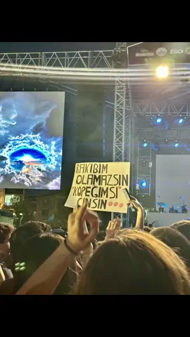 #keşfet #fyp #sefo @Sefo @Taha Dogan @𝓘𝓻𝓶𝓪𝓴 ރ 