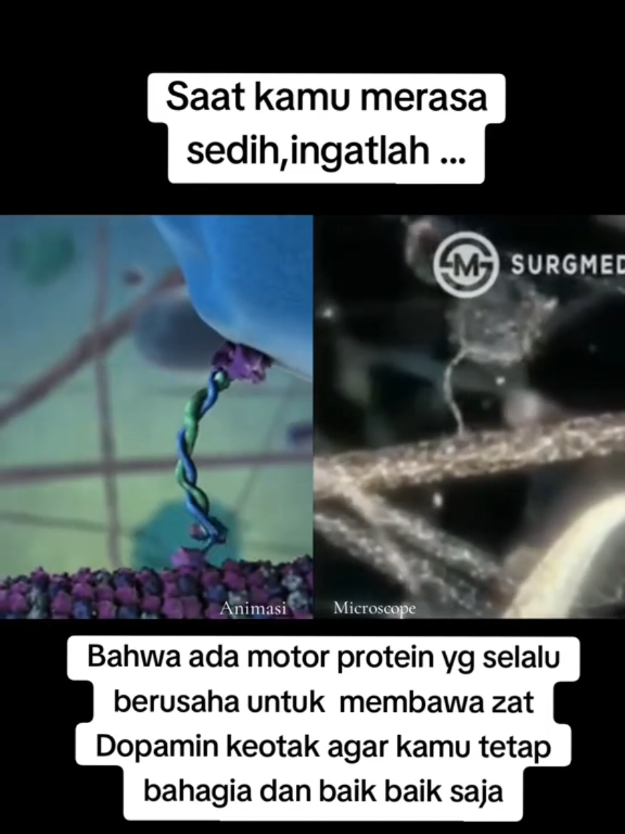 Ternyata ada yg seeffort itu  supaya kita bahagia terus 🥹 jgn lupa kirim alfatihah utk diri sendiri ya #fyp 