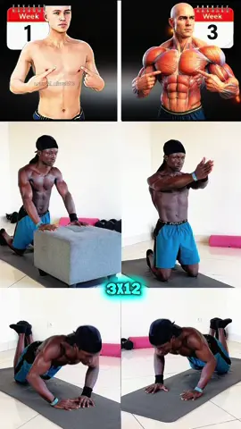 Pushup chest workout routine #workout #pushups #calisthenics #homeworkout 