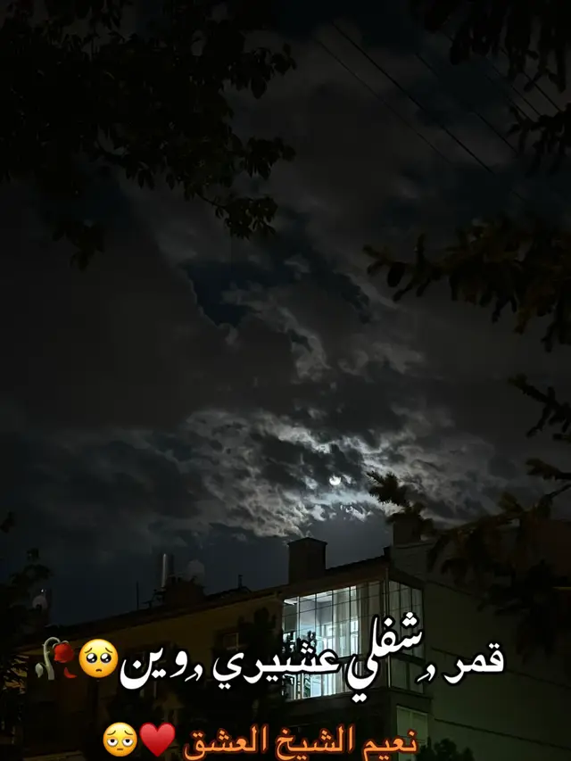قمر ,ِشفلي عشيري ,ِوين🥺🥀♥️#نعيم_الشيخ #تصوري📸 #قونيا________________قونيا😌💙 @نعيم الشيخ | Naeim AlSheikh 