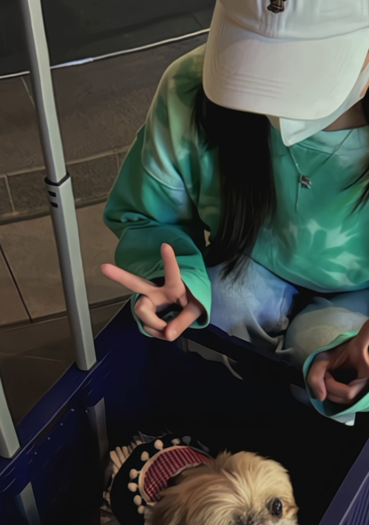 aku nggak mau jadi mataharimu #graciejkt48 #1har1ecarg #jkt48 #jkt48newera #agszg 