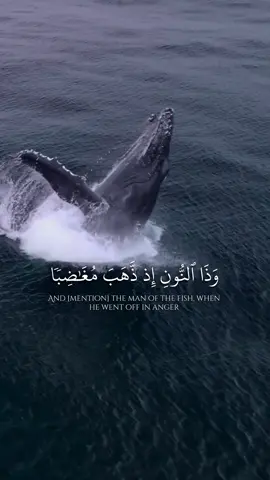 وَذَا ٱلنُّونِ إِذ ذَّهَبَ مُغَٰضِبٗا #ياسر_الدوسري #quran #islam #islamic_video #تلاوة_خاشعة 