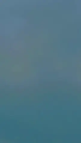 @SAMI SWATi 🏴‍☠️88 🏴‍☠️ @Yaseen is brand 🏴‍☠️88🏴‍☠️ @Jahanzbking310 @toqeerali 043 