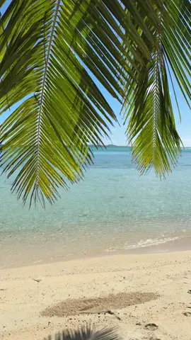 Your 5 second reset: Pretend you’re here in Aitutaki 🏝️ just palm trees, turquoise water, and zero emails ✨ Sun on your skin, water lapping on the shore, breeze moving through the palms.. even if it’s digital here, your imagination is powerful enough to take you there ☀️ (orrrr you can book a flight 🤭) Gift yourself 5 seconds to pause, breathe, and daydream. 💭 Paradise isn’t going anywhere.. but your sanity might if you don’t 🪼 Keep your vibration high and watch life smile back at you 🩵 #aitutaki #islandlife @Cook Islands #cookislands  #oceantherapy       