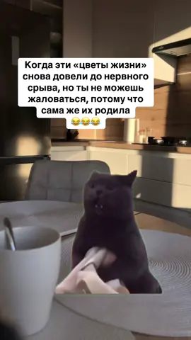 #рекомендации #дети #😂 #врек 