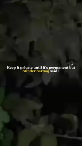 #Sajjan Raazi Ho Jave 🌸❤️ #Punjabisong 