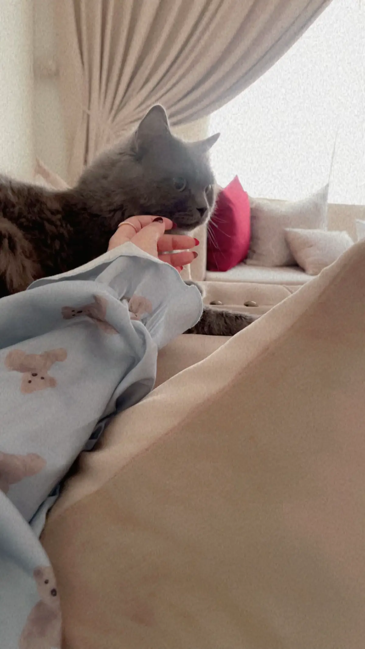 #مالي_خلق_احط_هاشتاقات🧢 #CapCut #اكسبلورexplore #fffffffffffyyyyyyyyyyypppppppppppp #مشاهير_تيك_توك 