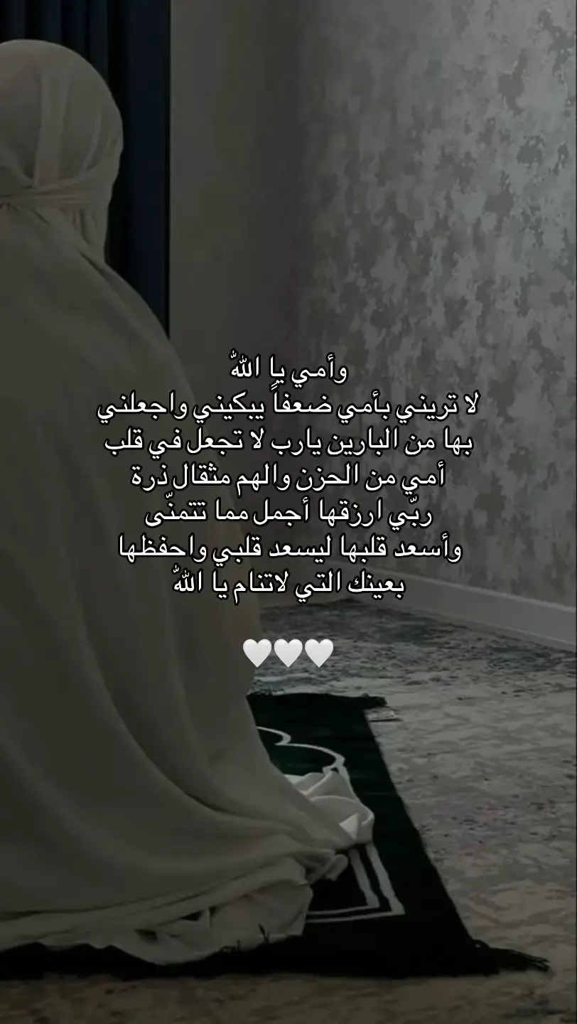 #quran #قران_كريم #الله  #برالوالدين_نعمة_من_نعم_الله 