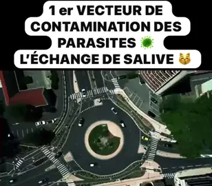 ⚠️ Tu crois que s’embrasser ou échanger de la salive est sans danger ? En réalité, c’est l’un des principaux vecteurs de parasites et de microbes. Dans la salive peuvent se cacher des œufs de parasites, des champignons, des virus… qui passent directement d’une bouche à l’autre. Un simple baiser peut devenir une porte d’entrée invisible pour des hôtes indésirables qui s’installent dans ton corps.