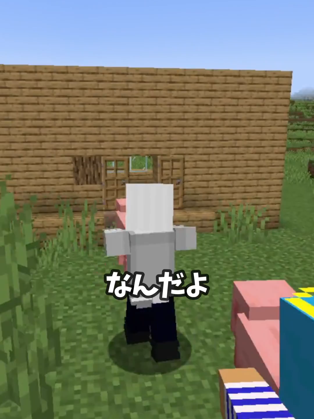A型はすっきりする...#じんざべす #マインクラフト #マイクラ #あかさかの箱