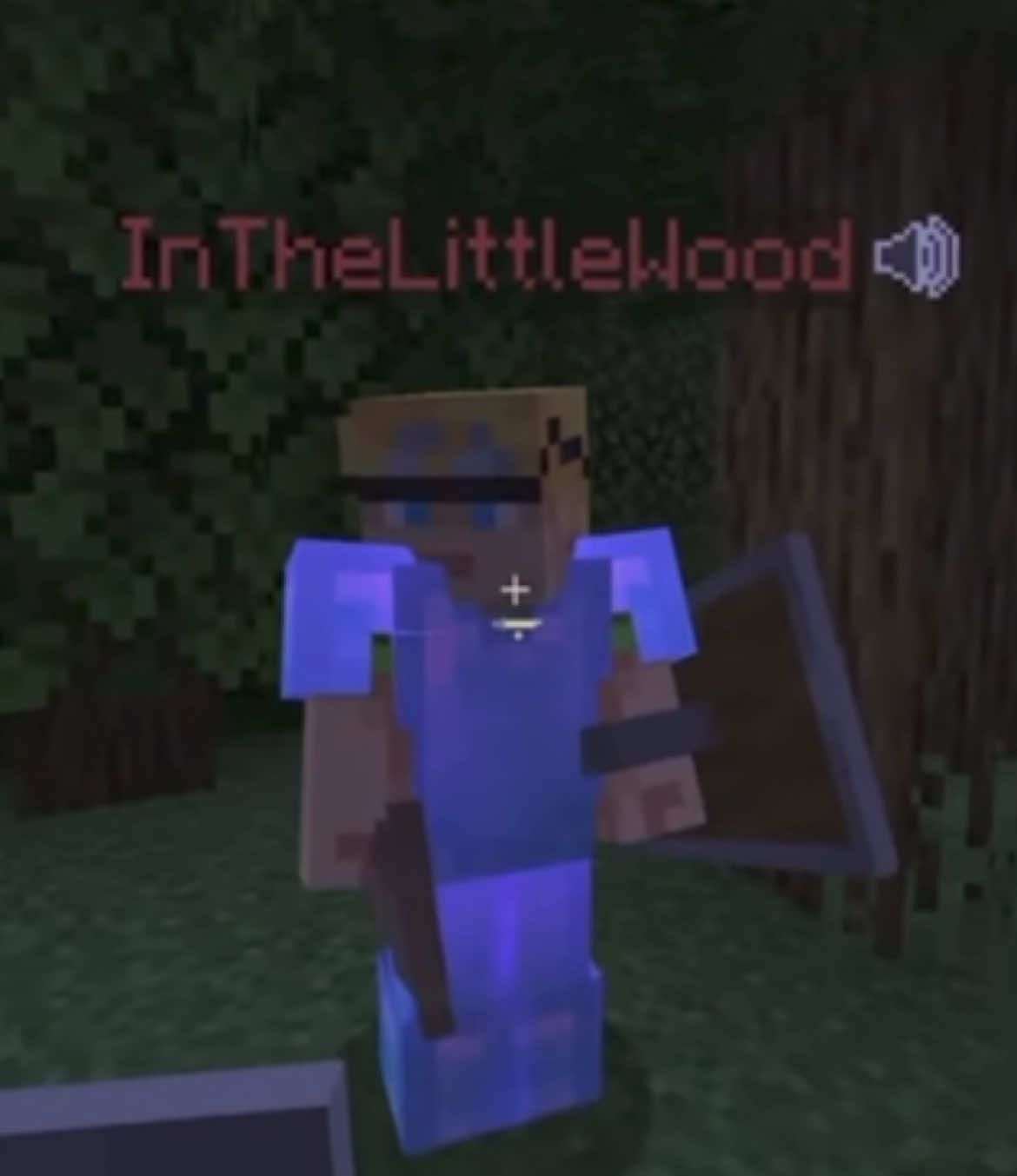 martyn said… we rlly get gay over here…  #pastlife #mcyt #lifeseries #inthelittlewood #renthedog 
