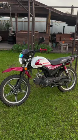 #стант #alpha #леманапро 