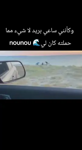 وكأنني ساعي بريد لا شيء حملته كان لي🌊 nounou #diving #غوص_ف_أعماق_البحر #الغوص_الى_العمق #الغوصمعالحيتان #nounoumesdoura 