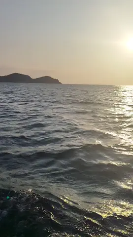 #الشعب_الصيني_ماله_حل😂😂  #fyp 