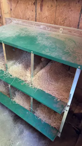 Chicken nesting boxes #backyardchickens #chickens #farmlife #coop #cluck 