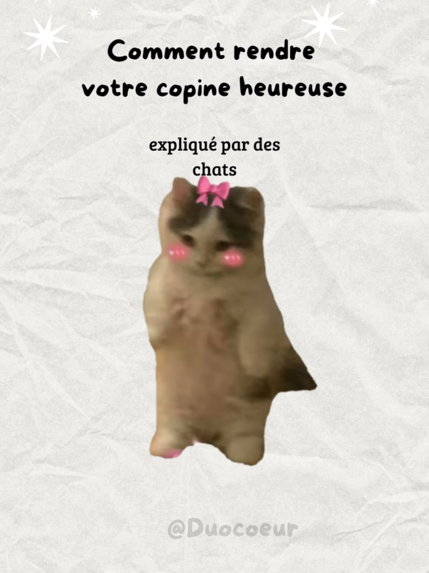 Comment rendre votre copine heureuse, expliqué par des chats. #chatstory