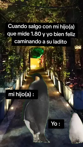 #Meme #MemeCut #CapCut 