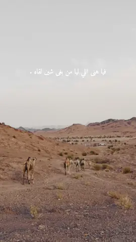 فيا هنى الللي ليا من بغى شين لقاه ❤️.#ماشاءالله 