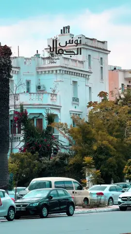 شارع محمد الخامس 🇹🇳❤️ #تصويري  #تونس🇹🇳  #foryoupage  #foryou  #tiktok 