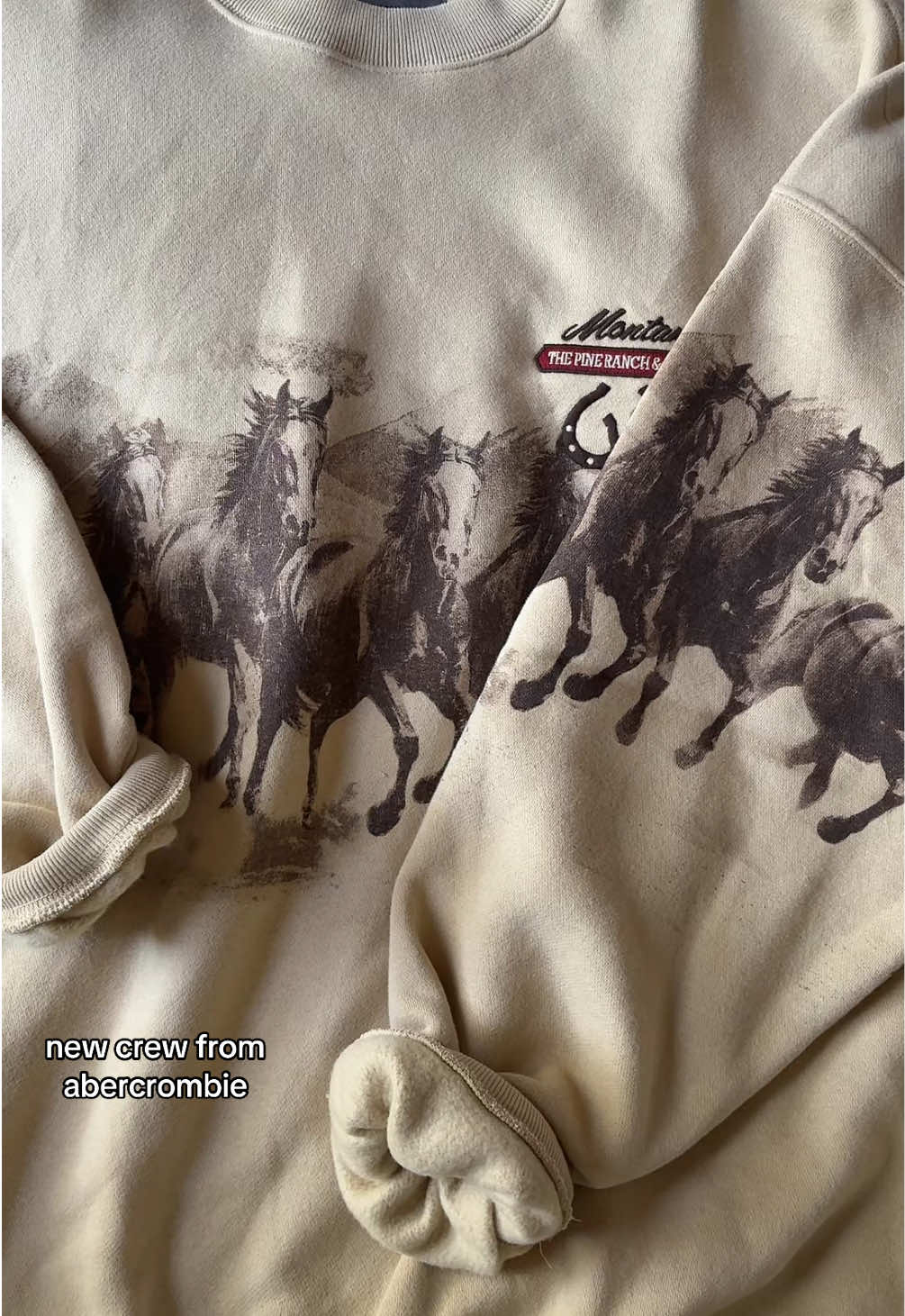 cutest crewneck ever  @abercrombie  #abercrombie #western #cowgirlcrewneck #abercrombiecrewneck 