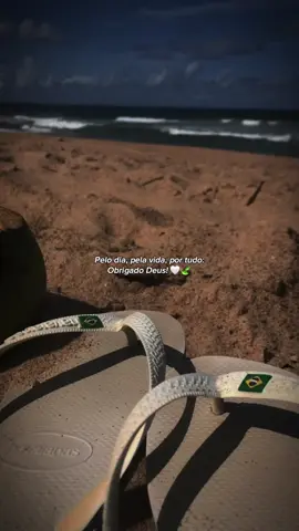 Obrigado Deus! 🤍🍃 . #boanoite #status #statusvideo #statuswhatsapp #gratidão 