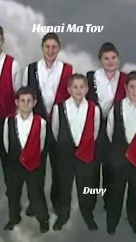 From the Album Stand Up (2000). #yerushalayim #thehits #boyschoir #miamiboyschoir #yerachmielbegun 