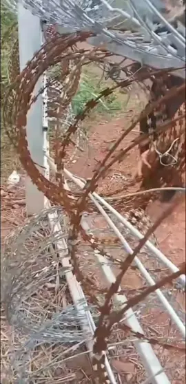 昆明到南宁有需要安排