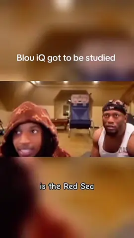 Bros iQ needs to be studied🙏🙏😭#fyp #viral #blou #blouandzias #funny 