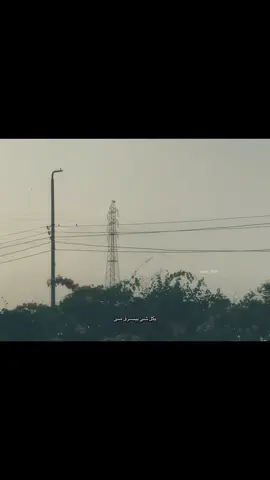 #بدون_موسيقي #fyp #محمد_منير