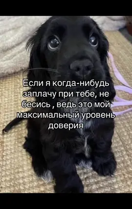 Жалко что никто не ценит #рекомендации 