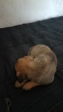 #parati #paratiiiiiiiiiiiiiiiiiiiiiiiiiiiiiii #videosrandom #jojosbizarreadventure #jojoreference 