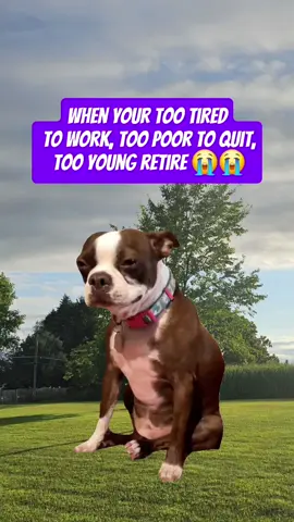 #MemeCut #CapCut #workhumor #funnyshit #fyp 