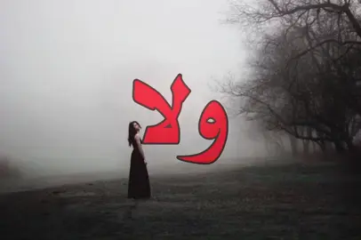لو ميت ولا داري!#اغاني_مسرعه💥  #اغاني_عراقيه#foryoupage#fypシعراقي 