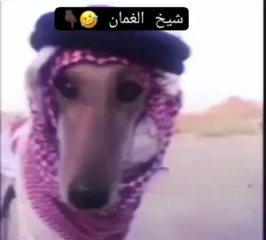 أبوعلي 😜#fry #السماجه @ابـو لجـون ☬ 