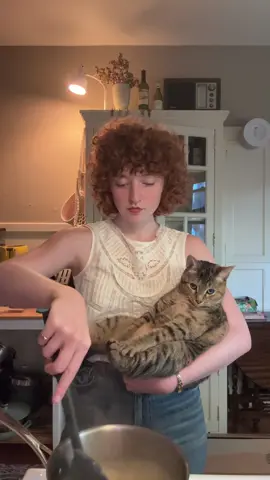 Sous chef 🧑🏻‍🍳  #catsoftiktok #foryou #fyp 