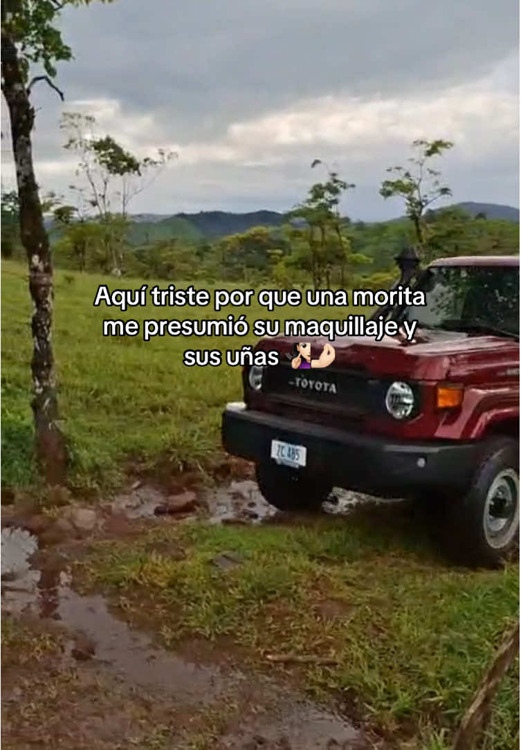 #parati#contenido#Campo#lacteos