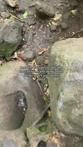 More from Hawaii #fyp #hawaii 