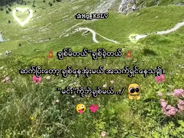 မင်းကိုဘဲချစ်တယ်။💗🫶 . . .#mg_ksl #mg_ksl_2010 #fyp #foryou #lyrics💐 