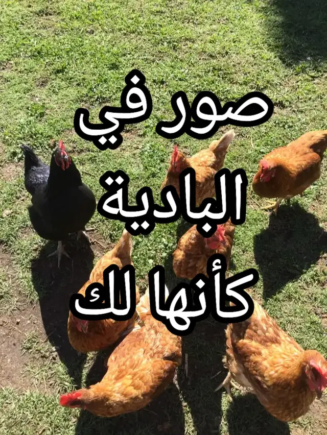 صور في البادية كأنها لك